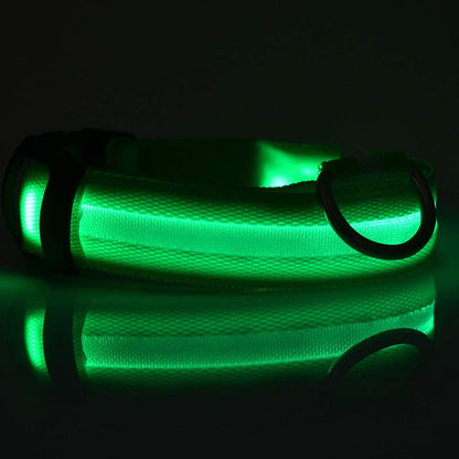 LED Pet Glow in Dark Luminous Collar