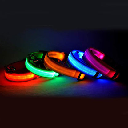 LED Pet Glow in Dark Luminous Collar