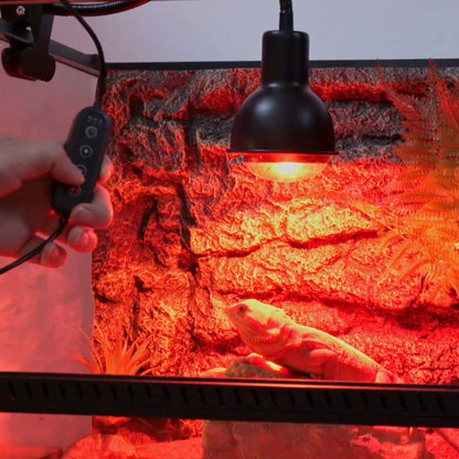 Reptile Heat Lamp