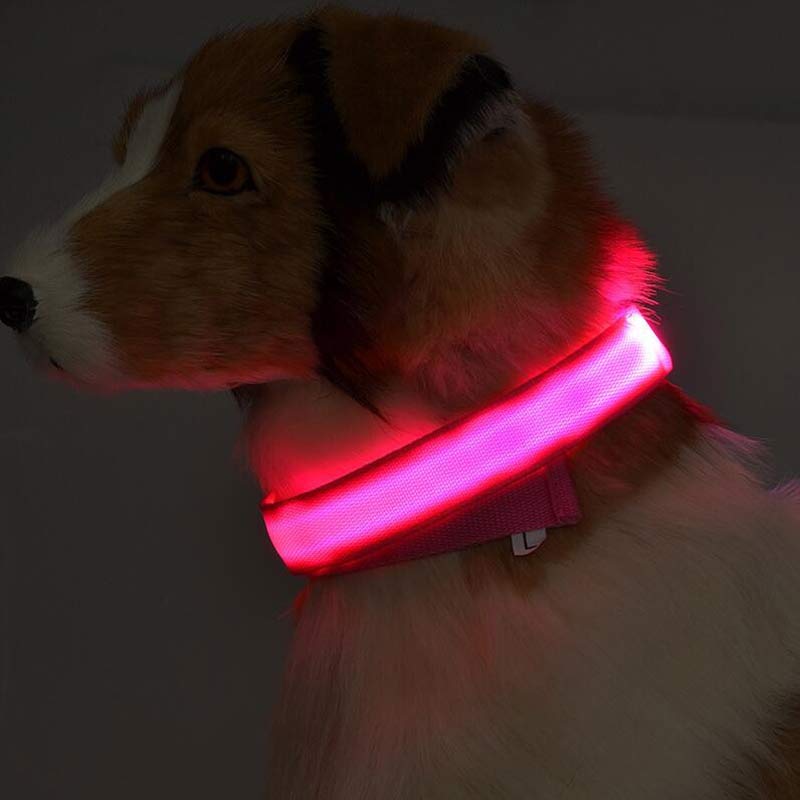 LED Pet Glow in Dark Luminous Collar