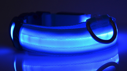 LED Pet Glow in Dark Luminous Collar