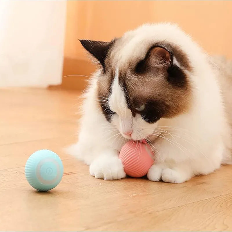 Smart Cat Ball