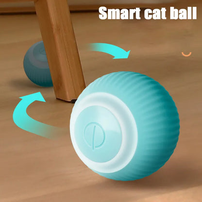 Smart Cat Ball