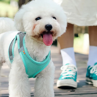 Pet Harness Clothes