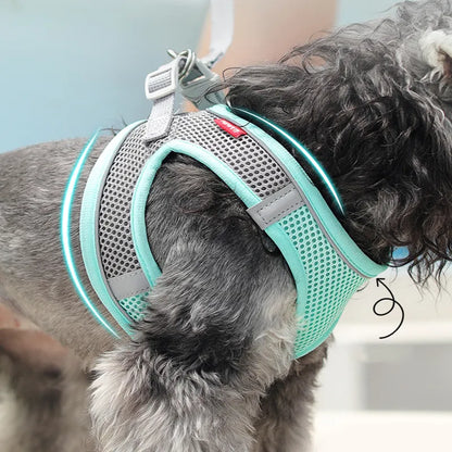 Pet Harness Clothes