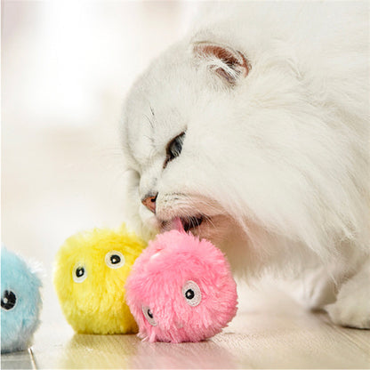 Kitty Calling Ball Toy