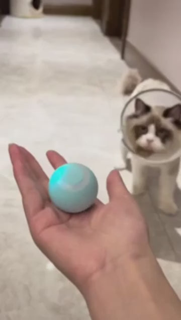 Smart Cat Ball