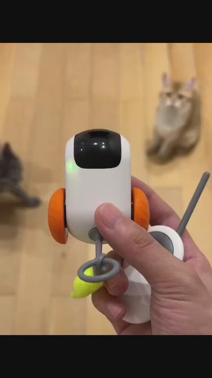 Remote Control Interactive Cat Toy